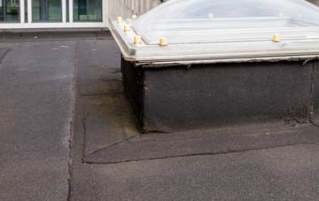 disadvantages of Cwrt flat roofs